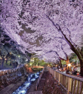 音無親水公園